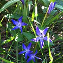 ���� �������, ������-��-����, 53 ���� - ��������� 18 ���� 2014 � ������ ���� ���� 2014�