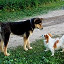 ����������) 20.05.2014 �� ������� ������� ��������)))�