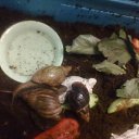 ���� �������, �����-���������, 64 ���� - ��������� 19 ���� 2014 � ������ ���������