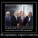 ���� �������, �������, 44 ���� - ��������� 19 ������ 2014 � ������ ������ ��������