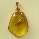 Baltic Amber gold pendant with fossil insect (Isoptera)   Penndants