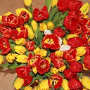 ���� ������, ������������, 52 ���� - ��������� 8 ������� 2014 � ������ ���� ����������