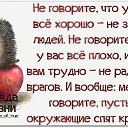 ���� ����, �����, 62 ���� - ��������� 14 ���� 2014 � ������ ������ ��������