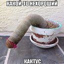 ���� �����, ������, 40 ��� - ��������� 14 ���� 2014 � ������ ������ ��������