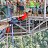 Skypark AJ Hackett - Bungy 69m