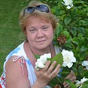 ���� �����, ������-����������, 56 ��� - ��������� 22 ���� 2014 � ������ ���� ����������