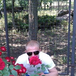 Dmitrii, 36, 