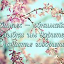 ���� ���������***, ���� - ��������� 31 ����� 2014 � ������ ������ ��������