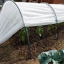 ���� �������, ������� - ��������� 10 ��� 2014 � ������ ����� ��� ������������