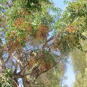 ������ ������ �� ������� ���� ����������