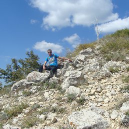 ���� �������, ������ - ��������� 29 ���� 2014