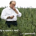 ���� ��������, �����-��������� - ��������� 31 ����� 2014 � ������ ���� ����������
