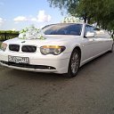 ���� ������, ������������, 36 ��� - ��������� 29 ��� 2014 � ������ ������ �������� ���λ