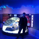 ���� ������, �������, 37 ��� - ��������� 26 ��� 2014 � ������ ���� ����������