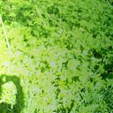 ���� �����, ����������� - ��������� 19 ��� 2014 � ������ ������� ߻