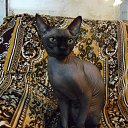 ���� ���������, ��������, 49 ��� - ��������� 19 ����� 2014 � ������ ����