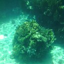 ���� ��������, ����������� - ��������� 21 ���� 2014 � ������ ������ ��������