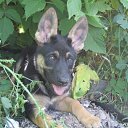 ���� ���������, ������������, 44 ���� - ��������� 3 ���� 2014 � ������ ������ ��������