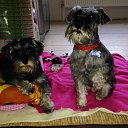 Lola&amp;Jolana �� ������� ���� ����������