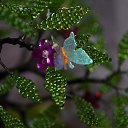 ���� �������, ���������, 37 ��� - ��������� 18 ��� 2014 � ������ ������ ��������