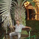 ���� �����, ������, 62 ���� - ��������� 6 ������� 2014 � ������ ���� ����������