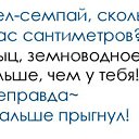 ���� ���, ���������, 23 ���� - ��������� 11 ������� 2014 � ������ ���� ����������