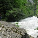 ���� C�����, ���������, 49 ��� - ��������� 1 ��� 2014 � ������ ���� ����������