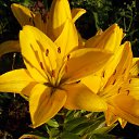 ���� 2014 �� ������� �� ��� - ��������!!!)))�