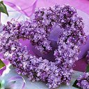 ���� Valentina, ������������ - ��������� 26 ���� 2014