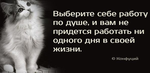  - 16  2014  19:45