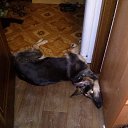 ���� �������, ��������, 56 ��� - ��������� 21 ������� 2014 � ������ ���� ����������