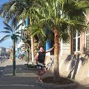 ���� ����, �����������, 43 ���� - ��������� 13 ���� 2014 � ������ ���� ����������