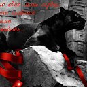 ���� ** �������, ���� - ��������� 28 ��� 2014 � ������ ������ ��������