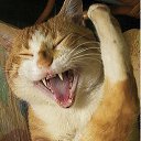 ���� �_�_�_�_�, ������-��-����, 43 ���� - ��������� 15 ��� 2014 � ������ ������ ��������