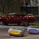 ���� (Vitaly), ����, 48 ��� - ��������� 24 ���� 2014 � ������ ���� ����������