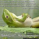 ���� ������, ���������� - ��������� 8 ��� 2014 � ������ ������ ��������