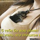 ���� ������, �����, 52 ���� - ��������� 11 ��� 2014 � ������ ������ ��������