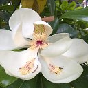 ���� ���, ����, 65 ��� - ��������� 12 ���� 2014 � ������ ������ ��������