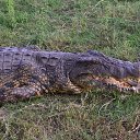 ��������� �� ������� ���� ����������