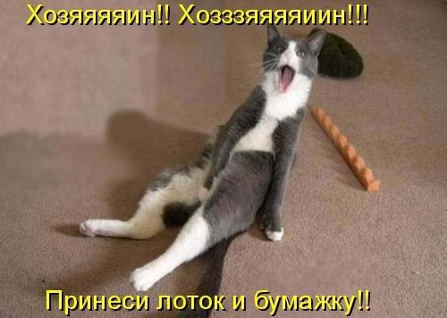 ��� �������� �������� - 7 ������� 2014 � 00:10