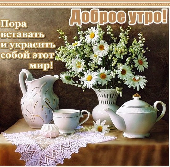 ������� �������� - 23 ���� 2014 � 08:31