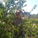 ���� ����, ���������, 63 ���� - ��������� 21 ���� 2014 � ������ �߻