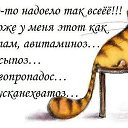 ���� ��������, ������ ��������, 37 ��� - ��������� 4 ���� 2014 � ������ ������ ��������