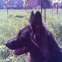 ���� ��������, ������ ����� - ��������� 22 ����� 2014 � ������ ���� ����������