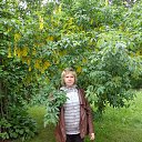 ���� �������, �����, 65 ��� - ��������� 21 ���� 2014 � ������ ���� ����������