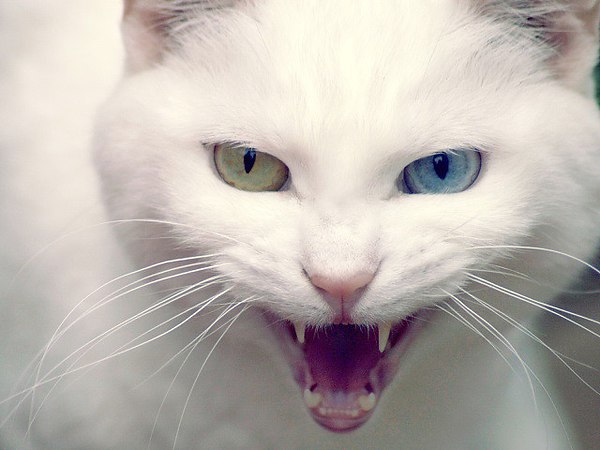 ������ - 10 ���� 2014 � 23:46