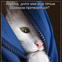 ���� ����, ������ - ��������� 10 ������ 2014 � ������ ���� ����������