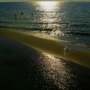 ���� �����, ������ - ��������� 15 ����� 2014 � ������ ���� ����������