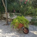 ������ �������� ��������� ������ ������ ���������� �� ������� ������