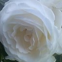 ���� ������4��, ������� - ��������� 24 ���� 2014 � ������ ���� ����������